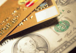 DUNS Number Business Credit Profile